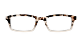 The Vanilla Latte Tortoise