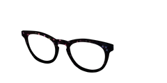 The Nightfall Haze with Holographic Starbursts