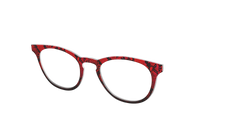 The Statement Snakeskin
