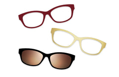 Tortoise - Set