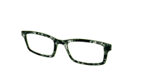 The Olive Pearl Tortoise