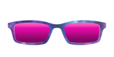 The Polarized Galaxy Sun Top