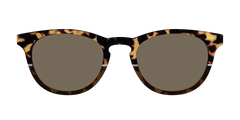 The Polarized Chic Tortoise Split Sun Top