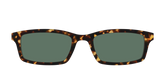 The Non-Polarized Green Tortoise Sun Top