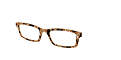 The Caramel Pearl Tortoise