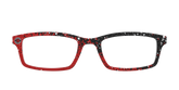 The Raptors Splatter