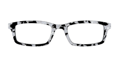The Black & White Pearl Tortoise