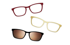 Tortoise - Set