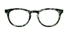 The Olive Pearl Tortoise