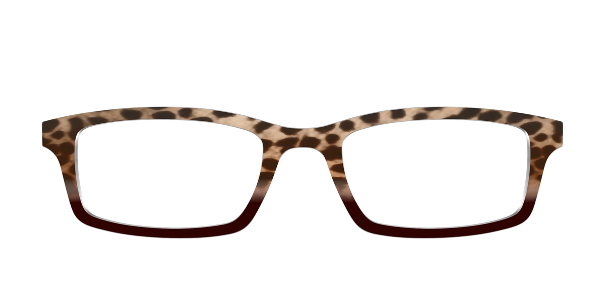 The Jungle Cat Tortoise