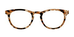 The Caramel Pearl Tortoise