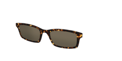 The Non-Polarized Tortoise Sun Top
