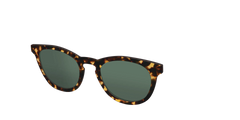The Non-Polarized Green Tortoise Sun Top