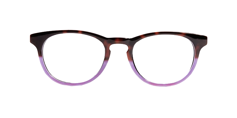 The Purple Tortoise