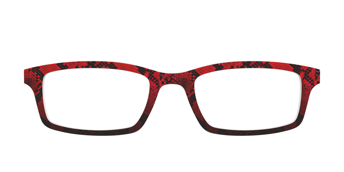 The Statement Snakeskin