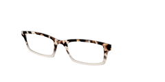 The Vanilla Latte Tortoise