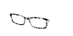 The Black & White Pearl Tortoise