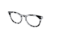 The Black & White Pearl Tortoise