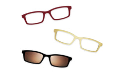 Tortoise - Set