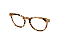The Caramel Pearl Tortoise