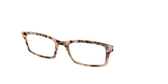 The Almond Tortoise with Gold Streaks