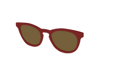 The Polarized Burgundy Sun Top