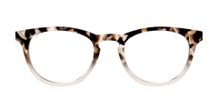 The Vanilla Latte Tortoise