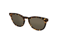The Non-Polarized Tortoise Sun Top