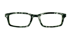 The Olive Pearl Tortoise