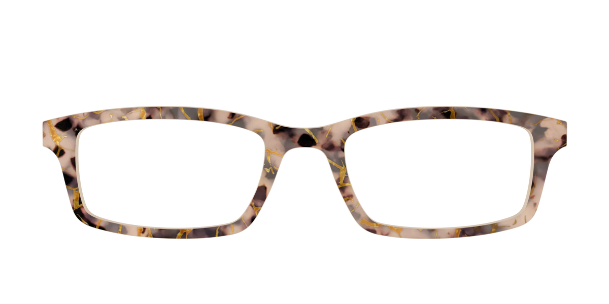 The Almond Tortoise with Gold Streaks