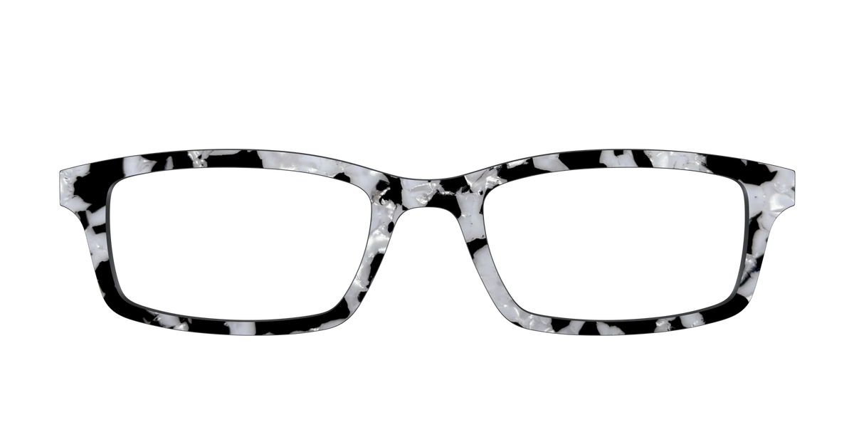 The Black & White Pearl Tortoise
